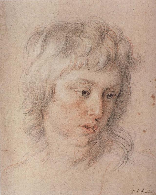 Peter Paul Rubens Baladi-s son Germany oil painting art